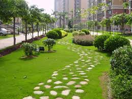 贝博艾佛森 徐汇区城市绿化面积排名